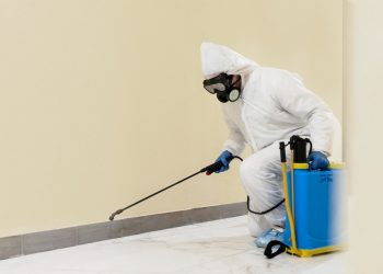 How Long Should I Stay Out of the House After Pest Control?