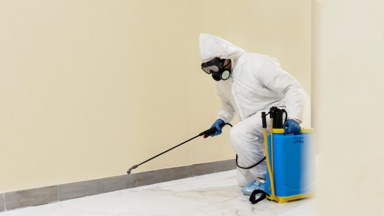 How Long Should I Stay Out of the House After Pest Control?