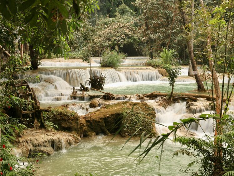 A Traveler’s Guide to Luang Prabang Tours: Temples, Nature and History.