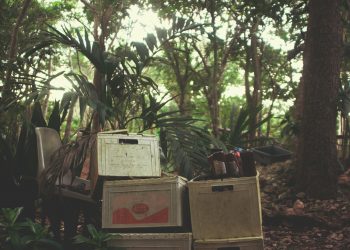 Care Rubbish Removal – Your Partner for Sustainable Waste Disposal