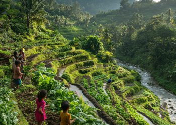 Business Incubator Philippines: Empowering Startups for Success