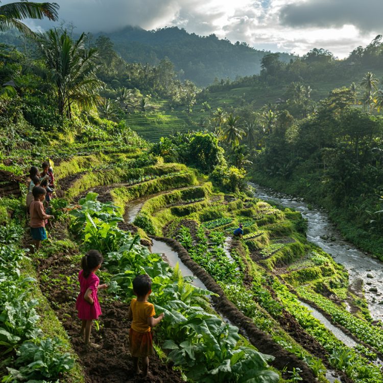 Business Incubator Philippines: Empowering Startups for Success