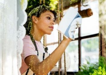 Beyond the Glass: The Importance of Professional Window Cleaning