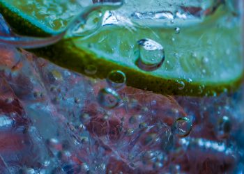 Aquatic Bioassay Testing: Safeguarding Ecosystems and Water Quality