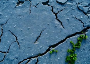 Cold Asphalt Patch: A Convenient and Effective Solution for Road Repairs