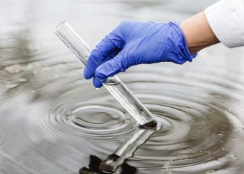 Ensuring Water Quality: The Role of Aquatic Bioassay Testing
