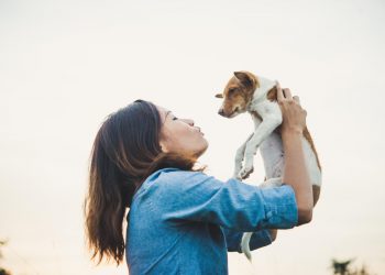 Pooper Scooper Tucson, AZ: The Best Solution for Dog Owners in the Desert