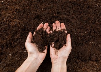 CBR Tests Explained: A Comprehensive Guide to Soil Strength Assessment