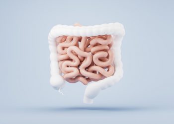 A Closer Look At How FOS Works in the Body