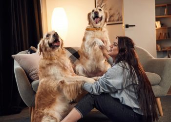 Say Goodbye to Pet Waste: Best Pooper Scooper Services in Port St. Lucie