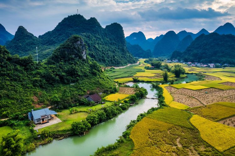 How To Select a Trustworthy Tour Operator or Top Travel Agency In Vietnam?