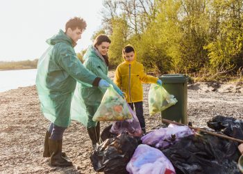 Ditch the Dump Run: Stress-Free Rubbish Removals in Melbourne