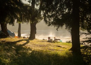 Can Staying at RV Parks Near Me Teach Kids Important Life Skills?