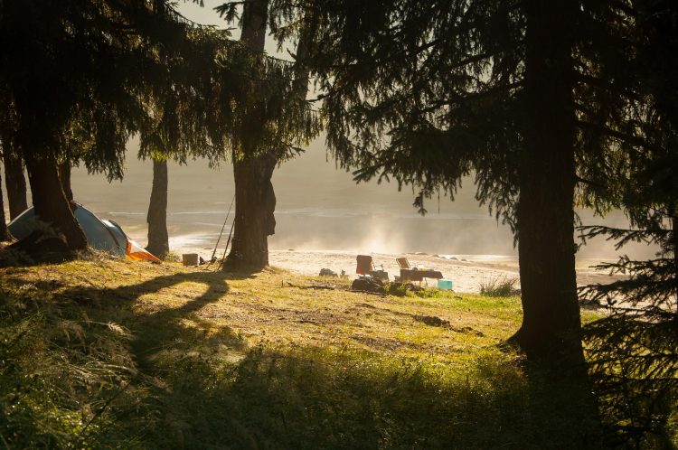 Can Staying at RV Parks Near Me Teach Kids Important Life Skills?