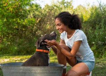 A Guide to Caring for Exotic Pets: What You Need to Know