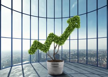 WhatsApp Marketing: The Essential Guide for Business Growth