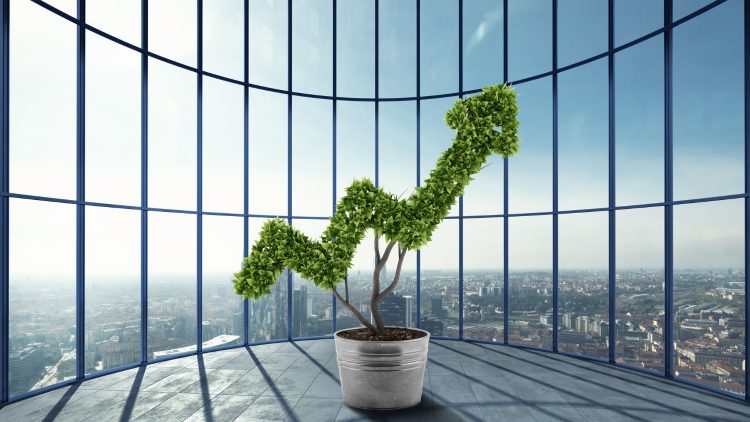 WhatsApp Marketing: The Essential Guide for Business Growth