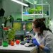 SyntecBiofuel Announces New R&D Lab in Asia to Accelerate Clean Energy Transition
