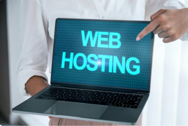 Website Hosting